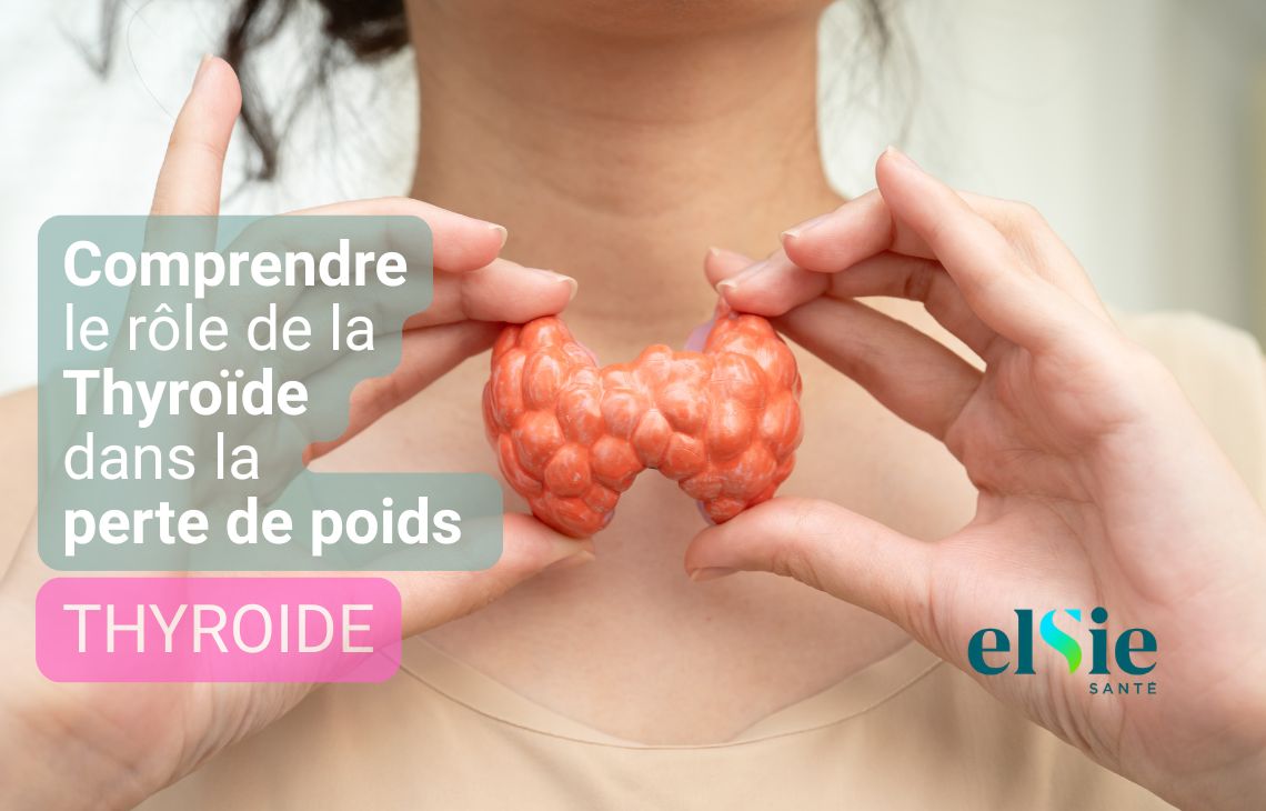 Comprendre le rôle de la Thyroïde dans la perte de poids : le guide de la Pharmacie Ongi Izan