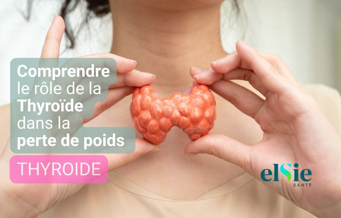 Comprendre le rôle de la Thyroïde dans la perte de poids : le guide de la Pharmacie Ongi Izan