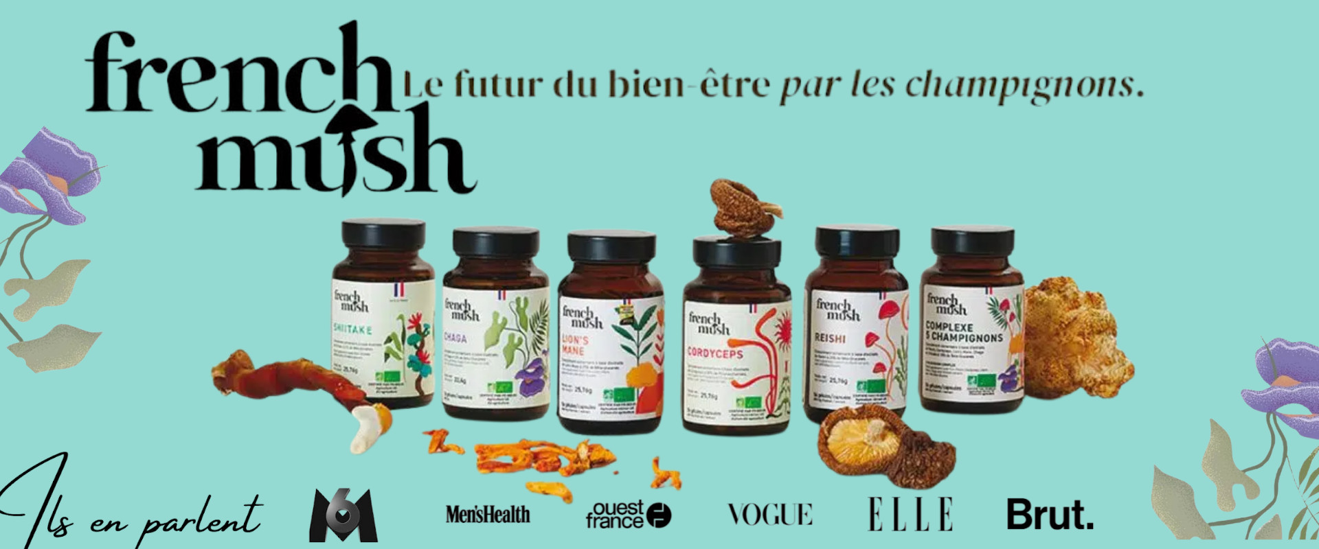 French mush les champignons médicinaux