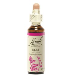 Fleurs de Bach Original Elm Orme 20 ml