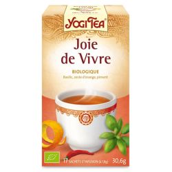 Yogi Tea Joie de vivre infusion ayurvédique bio 17 sachets
