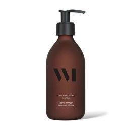 Gel lavant mains 290ml