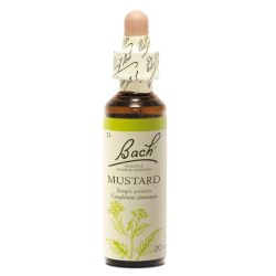 Fleurs de Bach Original Mustard 20 ml
