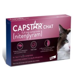 Elanco Capstar boite rose anti puce chat de 1 à 11kg 6 comprimés