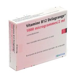 Vitamine B12 Delagrange 1000 µg/2 ml 6 ampoules