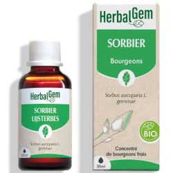 Herbalgem Bourgeon de Sorbier Bio 30 ml