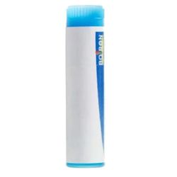 Boiron Pyrogenium 9CH dose 200 Globules