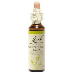 Fleurs de Bach Original Chestnut Bud 20 ml