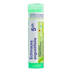 Boiron Echinacea Angustifolia 5CH Tube 80 Granules