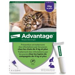 Elanco Advantage chats & lapins +4kg 4 pipettes