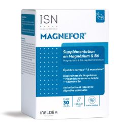 Ineldea Magnefor nervosité et fatigue musculaire 90 gélules
