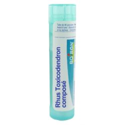 Boiron Rhus toxicodendron Composé 80 Granules