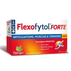 Tilman Flexofytol Forte 28 Comprimés