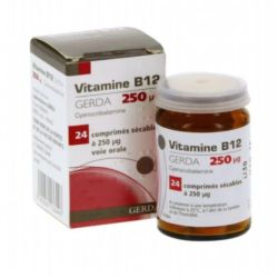 Gerda Vitamine B12 250 µg 24 comprimés
