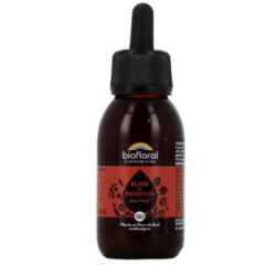 Biofloral Elixir Digestion 100Ml