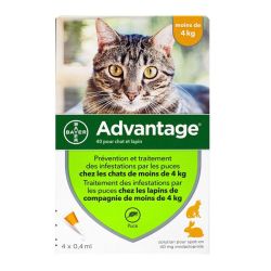 Advantage chats & lapins -4kg 4 pipettes