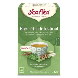 Yogi Tea Bien-être intestinal tisane Ayurvédique 17 sachets