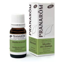 Pranarom Huile Essentielle Menthe des champs Bio 10ml