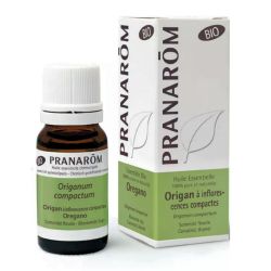 Pranarôm huile essentielle Origan  à inflorescences compactes Bio 10ml