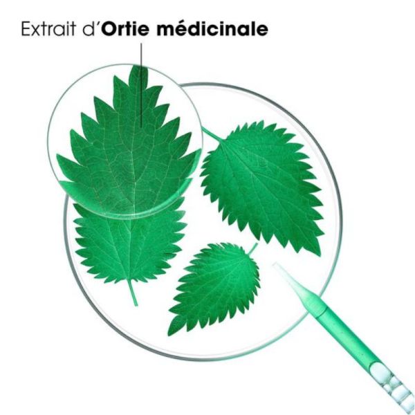 Klorane shampoing Ortie Bio sébo réducteur cheveux gras 400ml