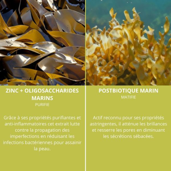 Algologie Tonique de l'Archipel purifiant et matifiant 200ml