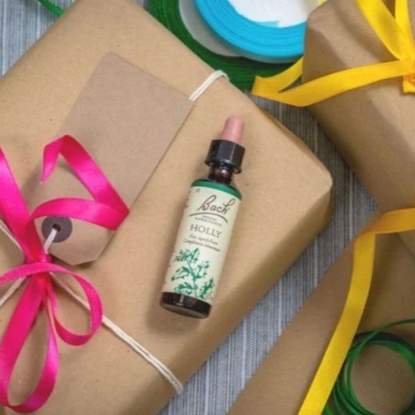 Fleurs de Bach Original Holly 20ml