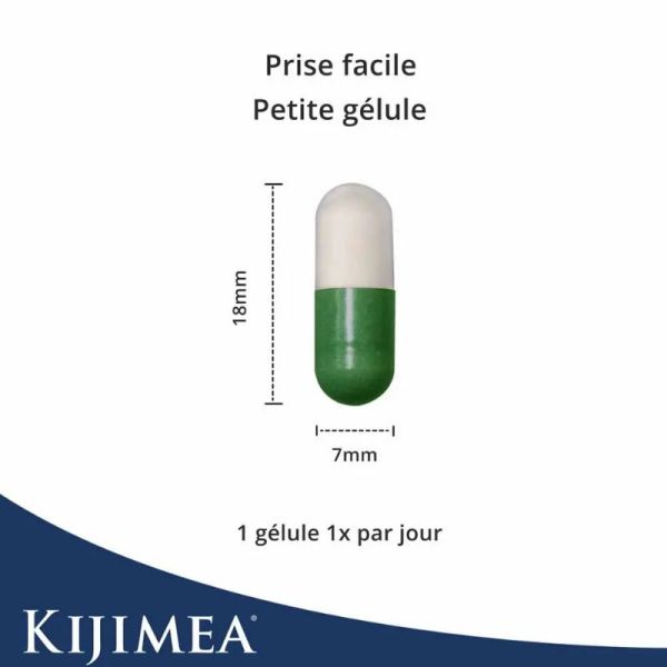 Kijimea colon Irritable pro 10 gélules