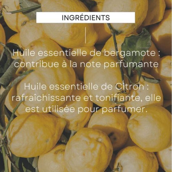 Weleda déodorant roll-on 24h Citrus Lot de 2 x 50 g