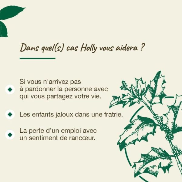 Fleurs de Bach Original Holly 20ml