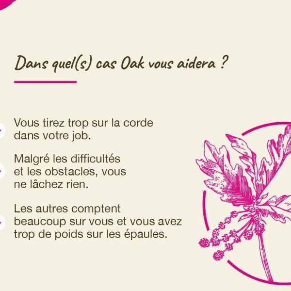 Fleurs de Bach Original Oak 20ml