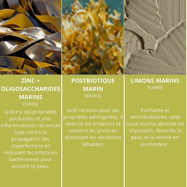 Algologie Masque de l'Archipel purifiant aux limons marins 50ml