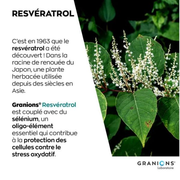 Granions Resvératrol 200 mg 30 Comprimés