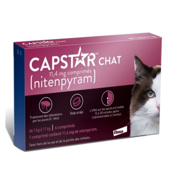 Elanco Capstar boite rose anti puce chat de 1 à 11kg 6 comprimés