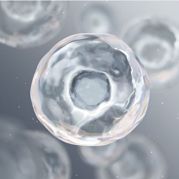 Bioderma Pigmentbio Daily Care SPF50+ soin jour SPF50+ 40ml