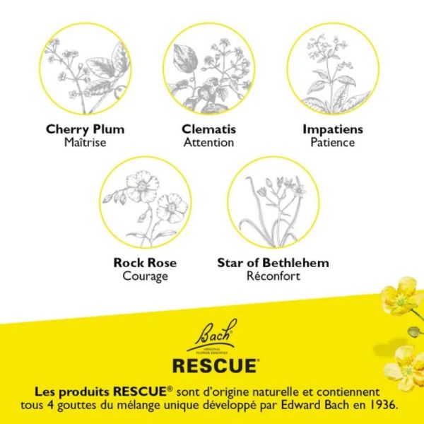 Bach Rescue Pets concentre de sérénité pour animaux de compagnie 10ml