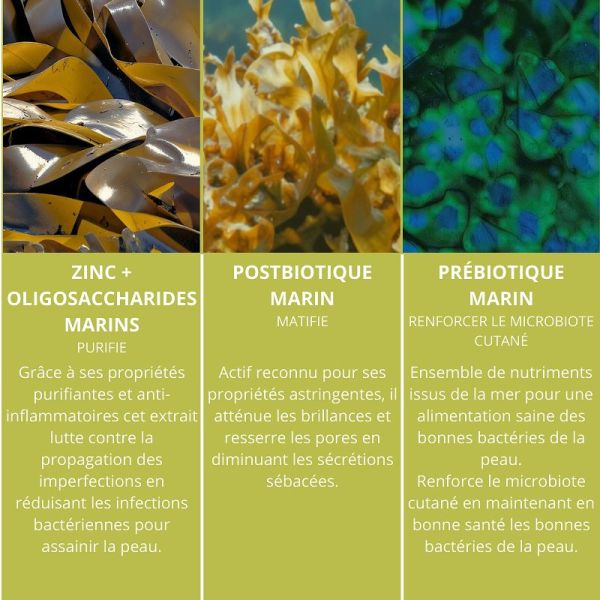 Algologie Elixir De L'Archipel sérum anti Imperfections 30ml