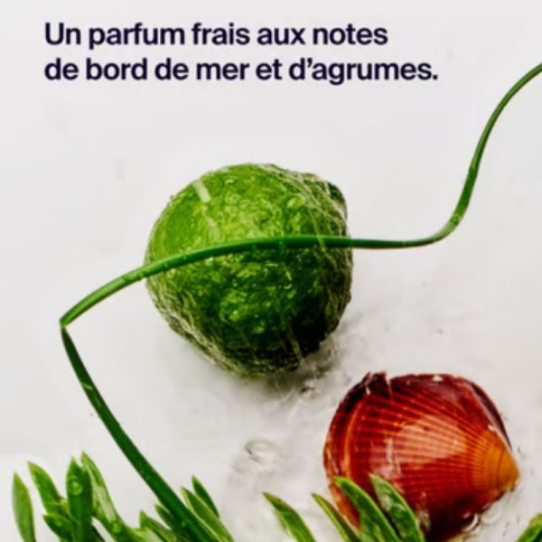 Horace déodorant stick 12H bergamote & criste marine 50 ml