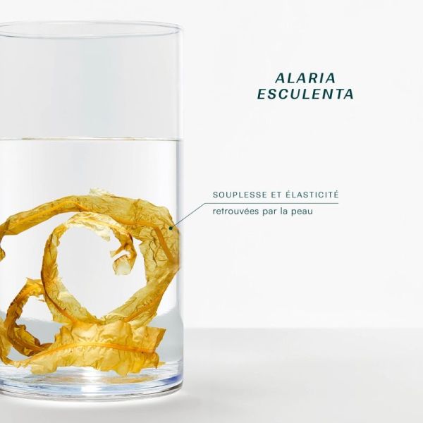 Laboratoires de Biarritz Océane huile sèche Visage corps et cheveux 100ml