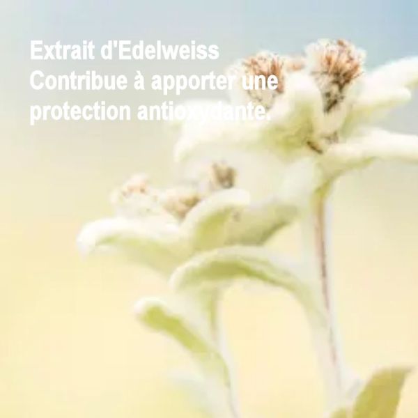 Avène Cold Cream baume lèvres hydratant intense 24h 10ml