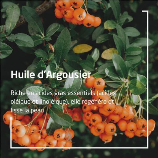 Weleda huile dynamisante à l'argousier 100ml