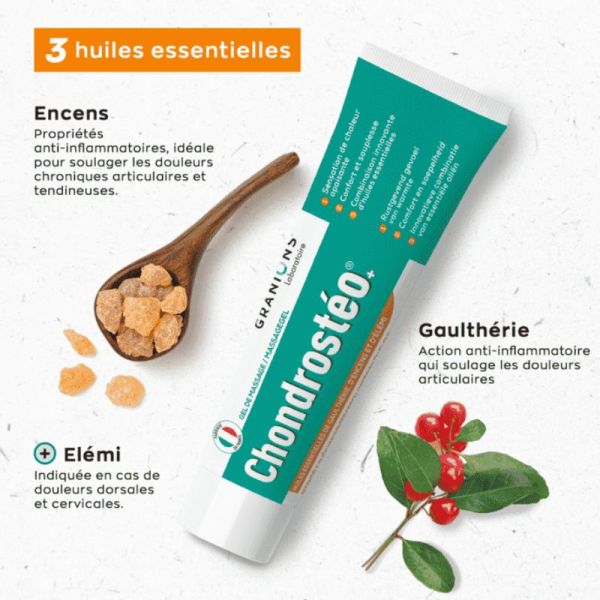 Granions Chondrostéo gel de massage 100ml