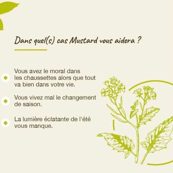 Fleurs de Bach Original Mustard 20ml