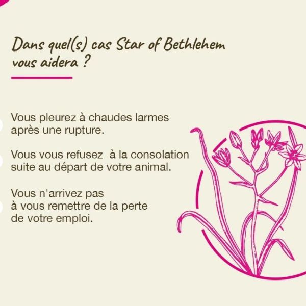 Fleurs de Bach Original Star of Bethlehem 20ml