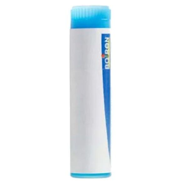 Boiron Pyrogenium 9CH dose 200 Globules