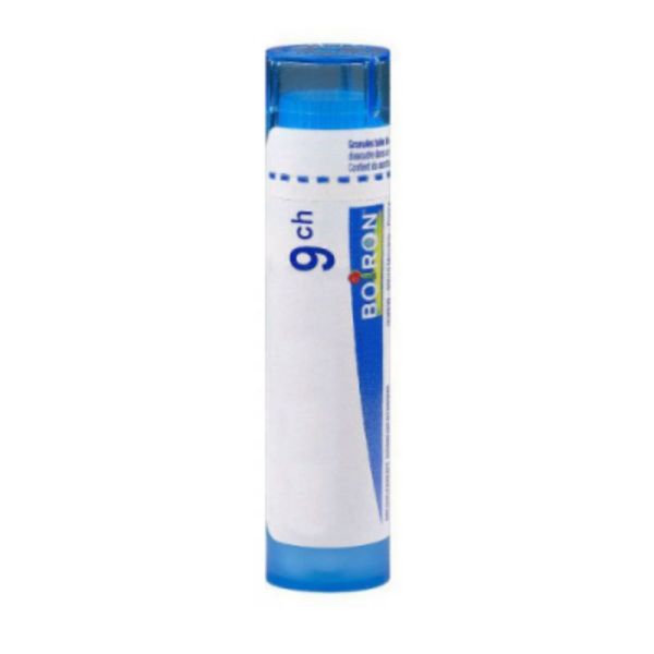 Boiron Cholesterinum 9Ch granules tube