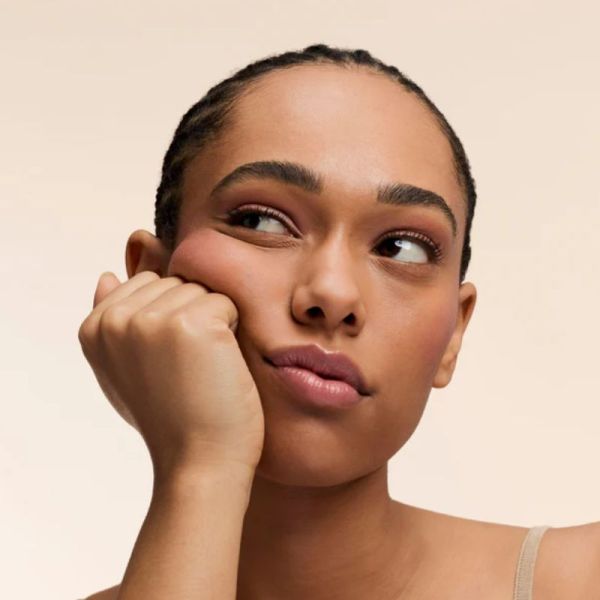 Embryolisse Secret de Maquilleurs Baume Couleur Stick 3en1 rose nude 2,5g