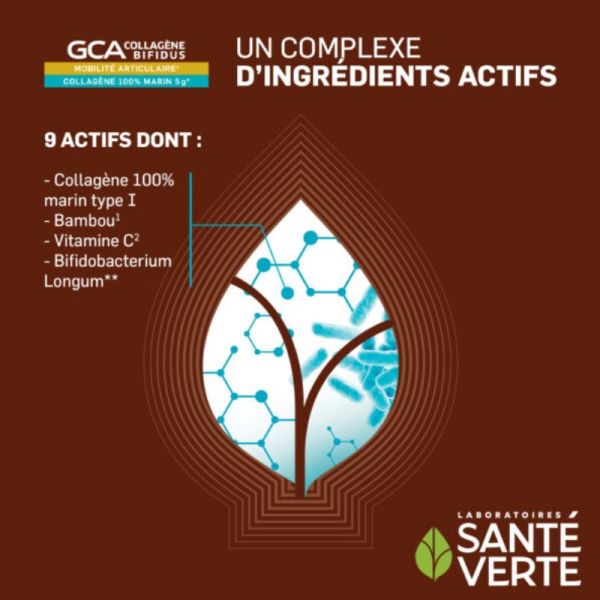 Santé Verte GCA Collagène Bifidus mobilité articulaire 390g
