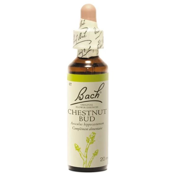 Fleurs de Bach Original Chestnut Bud 20 ml