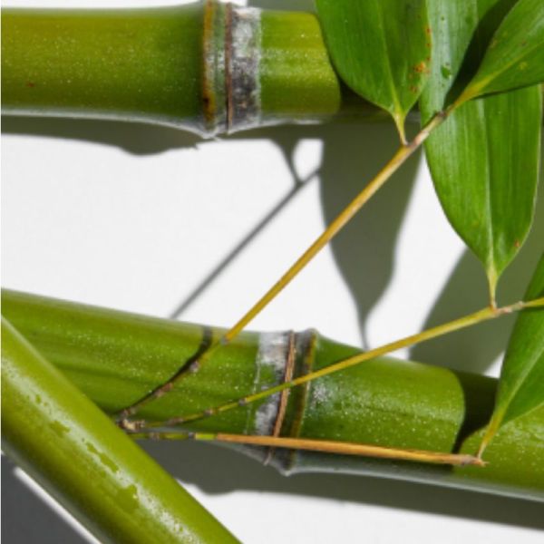 Erborian Sève de Bamboo Eye 15ml