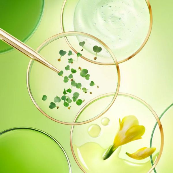 Nuxe Nuxuriance Ultra la crème nuit anti-âge global 50 ml